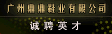 ���ݶ���Ьҵ���޹�˾